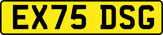 EX75DSG