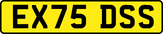 EX75DSS
