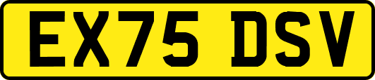 EX75DSV