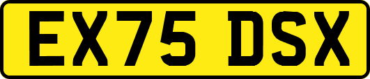 EX75DSX