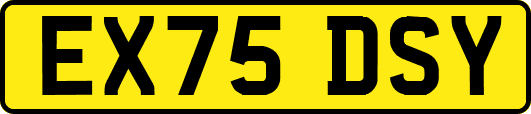 EX75DSY