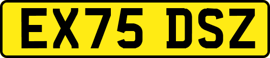EX75DSZ