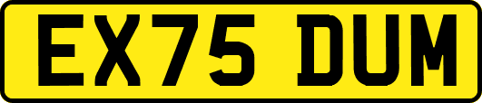 EX75DUM