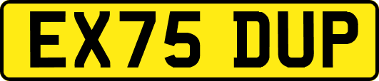 EX75DUP