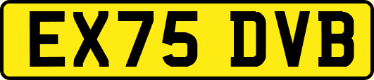 EX75DVB