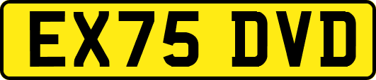 EX75DVD