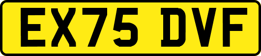 EX75DVF