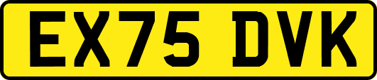 EX75DVK