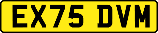 EX75DVM