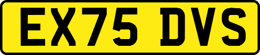 EX75DVS