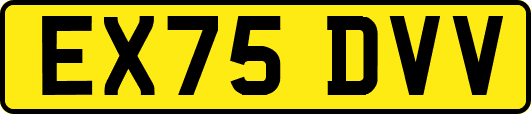 EX75DVV