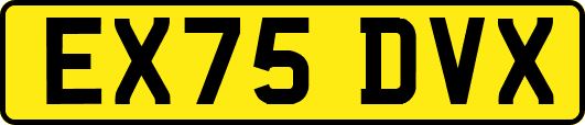 EX75DVX