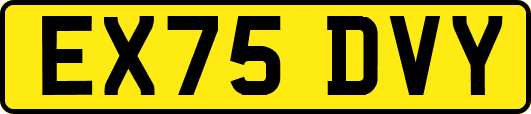 EX75DVY