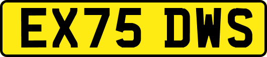EX75DWS