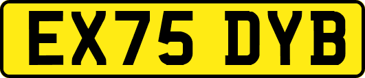 EX75DYB