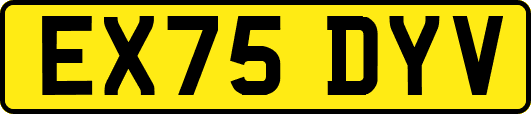 EX75DYV