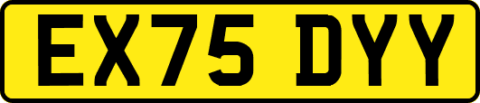 EX75DYY