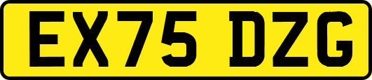 EX75DZG
