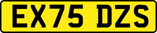 EX75DZS