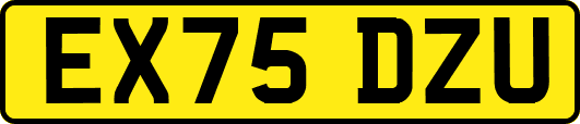 EX75DZU