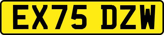 EX75DZW