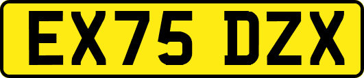 EX75DZX