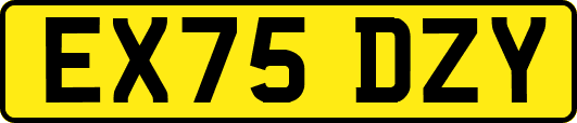 EX75DZY