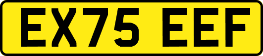 EX75EEF