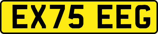 EX75EEG