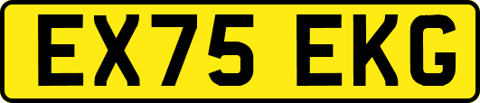 EX75EKG