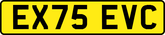 EX75EVC