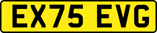 EX75EVG