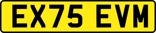 EX75EVM