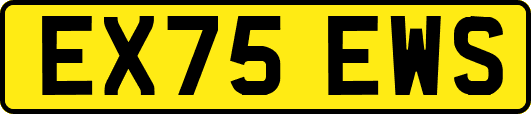 EX75EWS