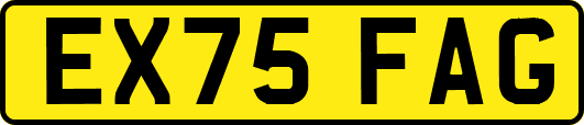 EX75FAG