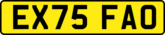 EX75FAO