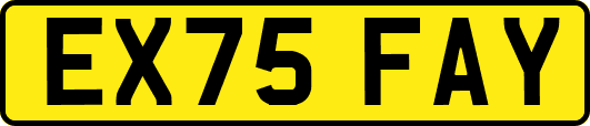 EX75FAY