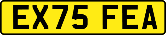 EX75FEA