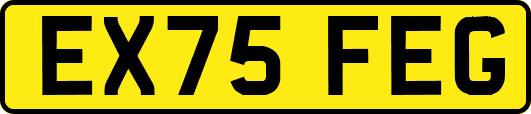 EX75FEG