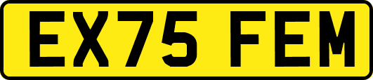 EX75FEM