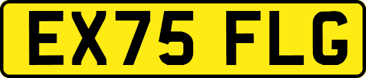 EX75FLG