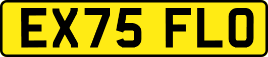EX75FLO