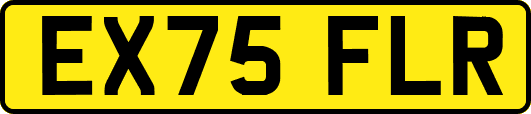 EX75FLR