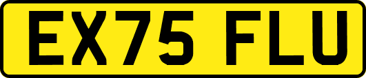 EX75FLU
