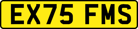 EX75FMS