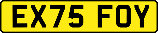 EX75FOY