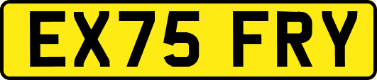 EX75FRY