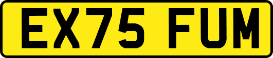 EX75FUM