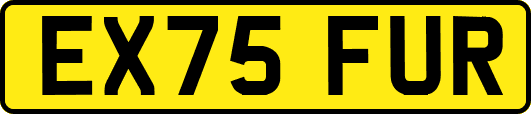 EX75FUR