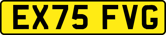 EX75FVG